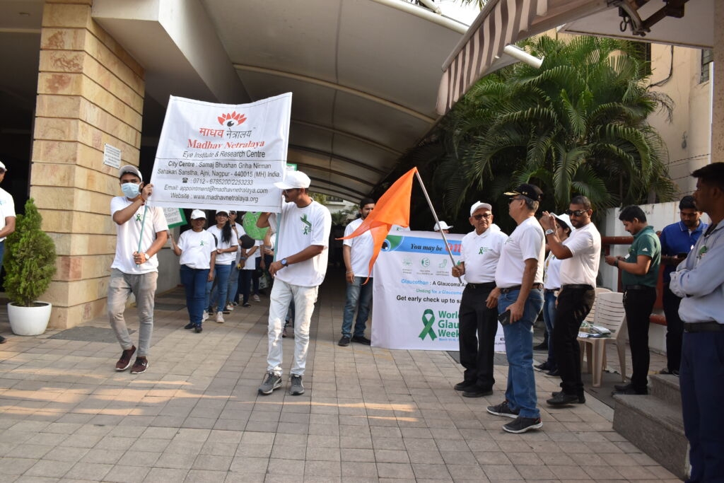 rally 6